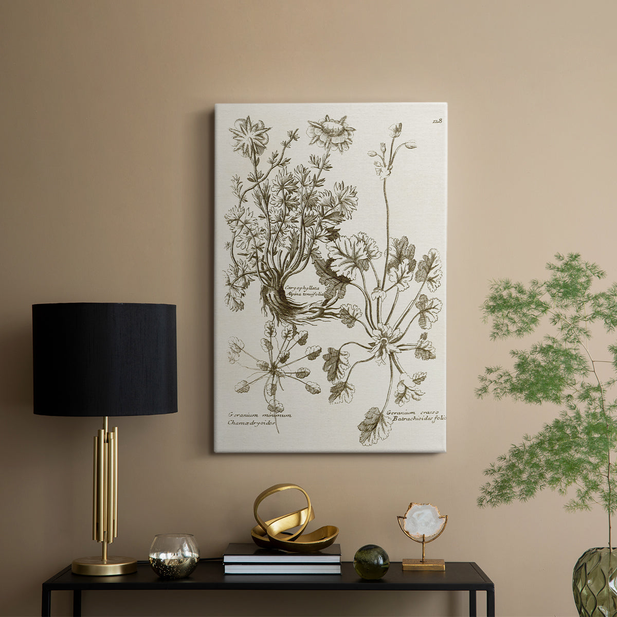 Sepia Botanical Journal IX - Canvas Art Print