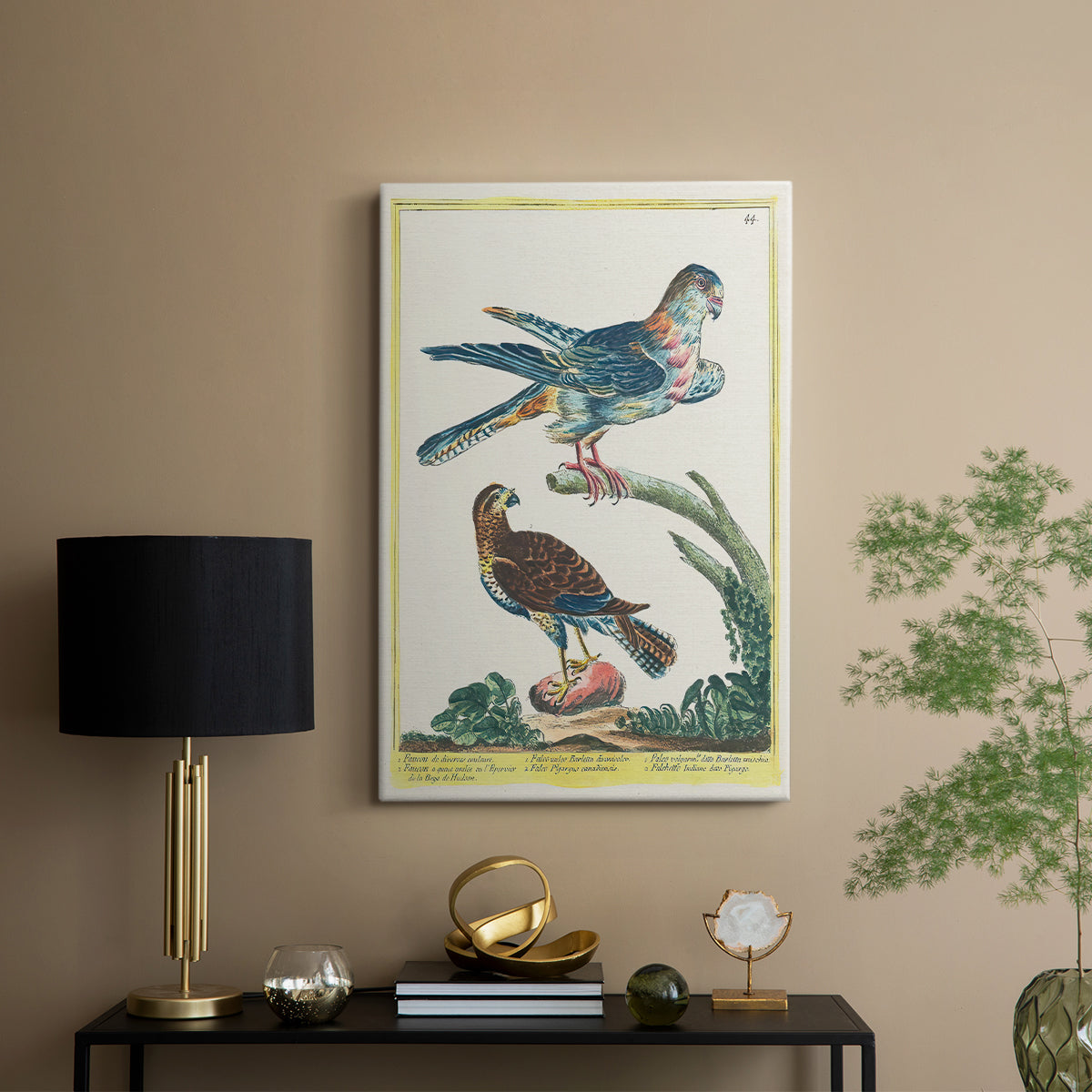 Falcons, 1771-1775 - Canvas Art Print