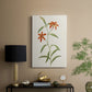 Flowers of the Seasons III - Canvas Art Print