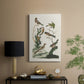 Antique Birds in Nature I - Canvas Art Print