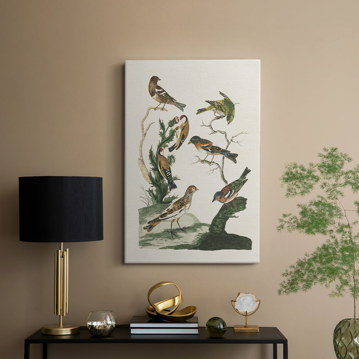 Antique Birds in Nature I - Canvas Art Print