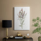 Dainty Botanical III - Canvas Art Print