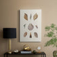 Knorr Shells & Coral VI - Canvas Art Print