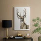 Handsome Whitetail I - Canvas Art Print