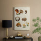 Mushroom Species I - Canvas Art Print