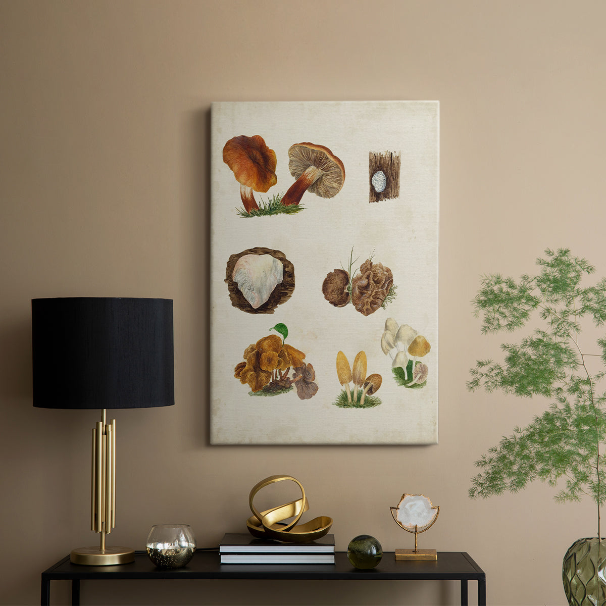 Mushroom Species I - Canvas Art Print