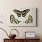 Crackled Butterflies I - Canvas Art Print