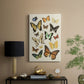 Collected Flutter I - Canvas Art Print