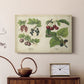 Berries and Currants - Canvas Art Print
