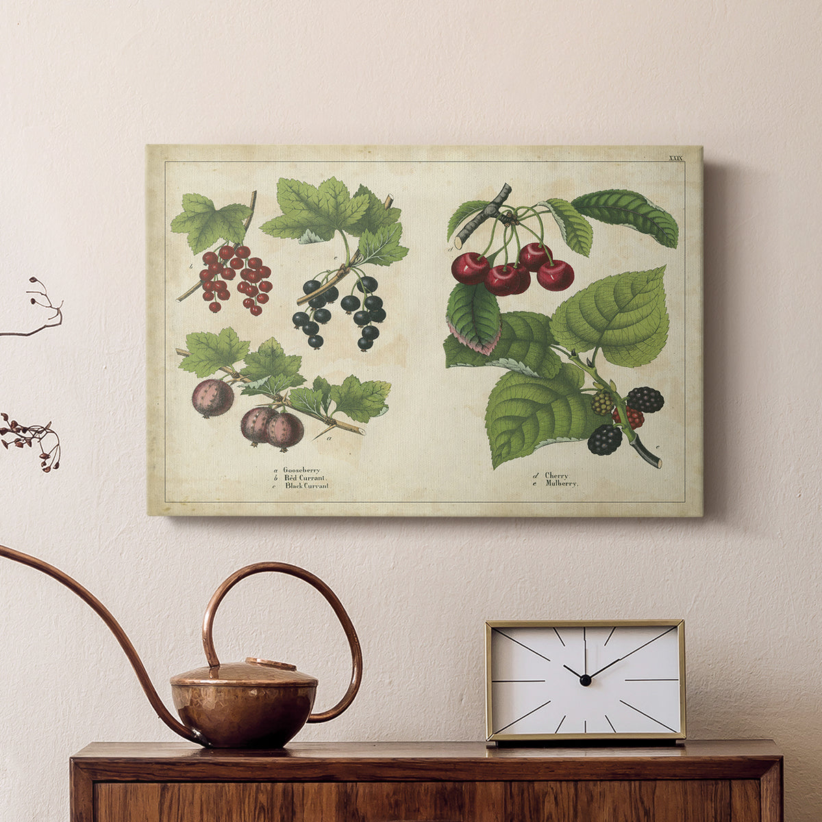 Berries and Currants - Canvas Art Print