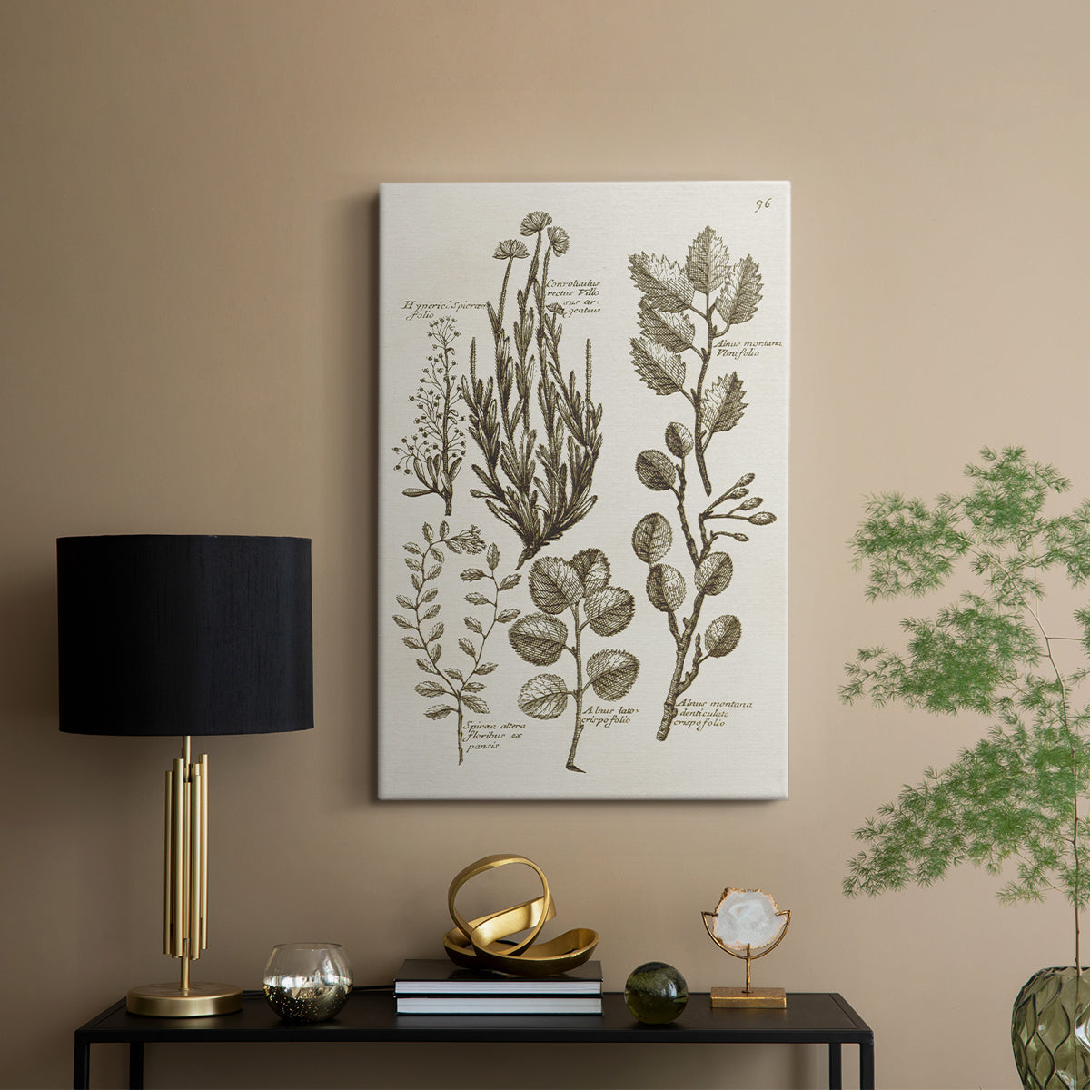 Sepia Botanical Journal VIII - Canvas Art Print