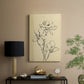 Magnolia Sketch II - Canvas Art Print