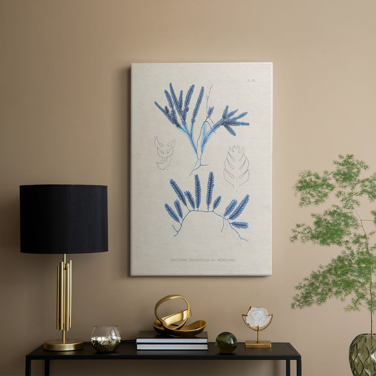 Blue Marine Algae I - Canvas Art Print