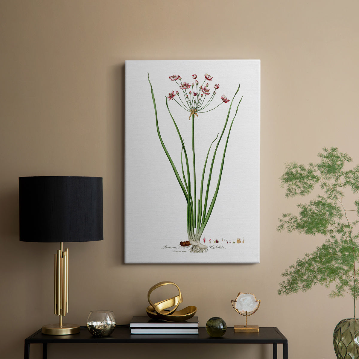 Rose Botanical II - Canvas Art Print