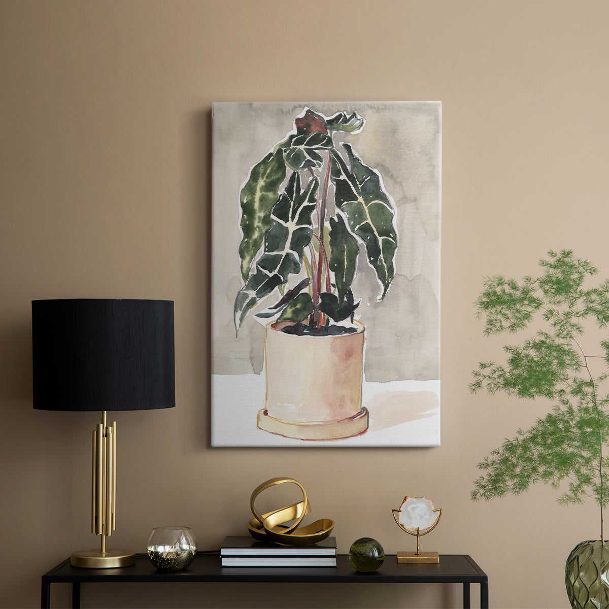 Potted Houseplant I - Canvas Art Print