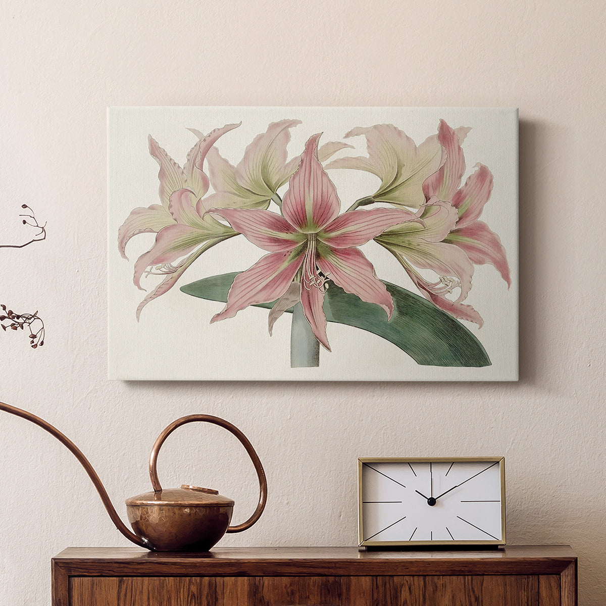 Amaryllis Varietals I - Canvas Art Print