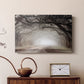 Timeless Plantation Drive - Canvas Art Print