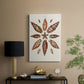 Spiral Shell Formation I - Canvas Art Print