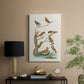 Antique Birds in Nature III - Canvas Art Print