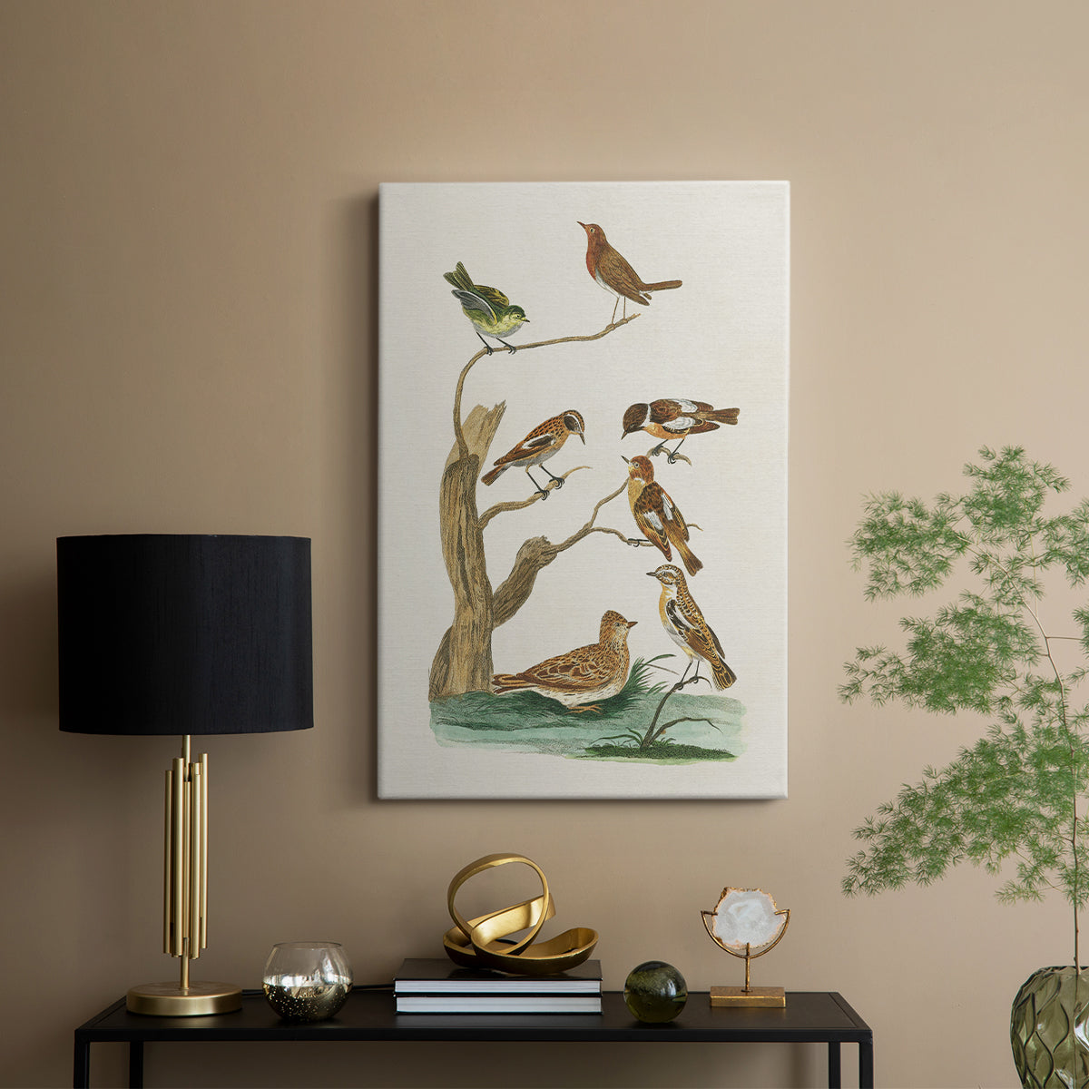 Antique Birds in Nature III - Canvas Art Print