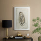 Soft Half Shell II - Canvas Art Print
