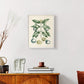 Buchoz Tropicals VII - Restickable Framed Art Print