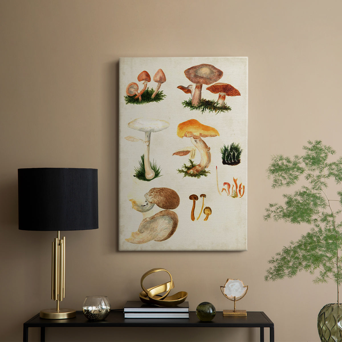 Mushroom Species IV - Canvas Art Print