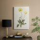 Flowers of the Seasons XII - Canvas Art Print