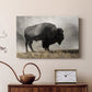 Geyser Basin - Canvas Art Print