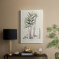 Botanical Society Ferns XI - Canvas Art Print
