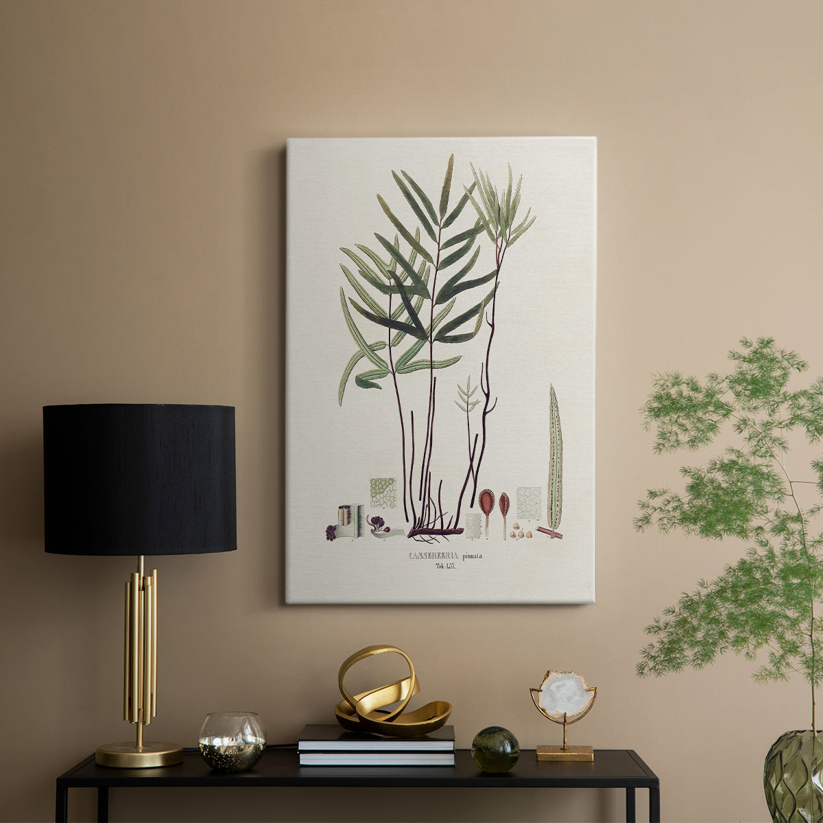 Botanical Society Ferns XI - Canvas Art Print