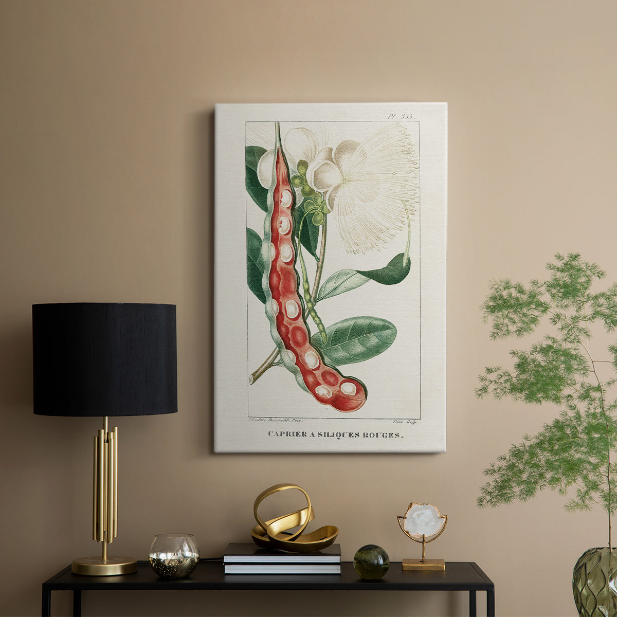 Turpin Tropical Botanicals VIII - Canvas Art Print