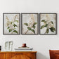 Floral Study Series LXXXVII - Restickable Framed Art Set
