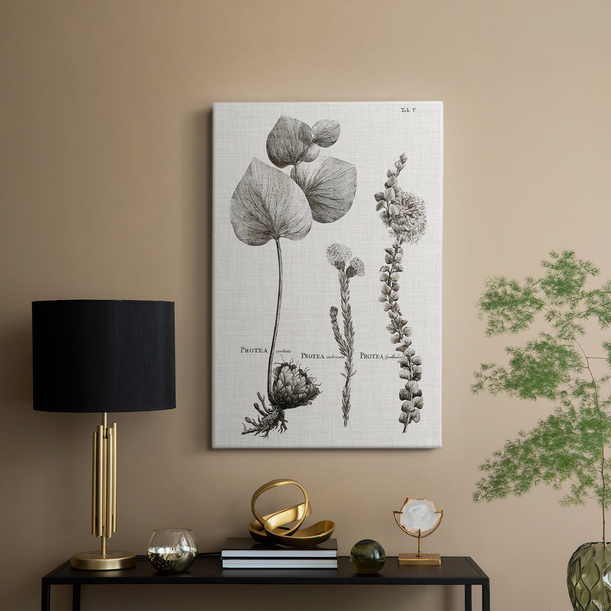 Black & White Protea on Linen II - Canvas Art Print