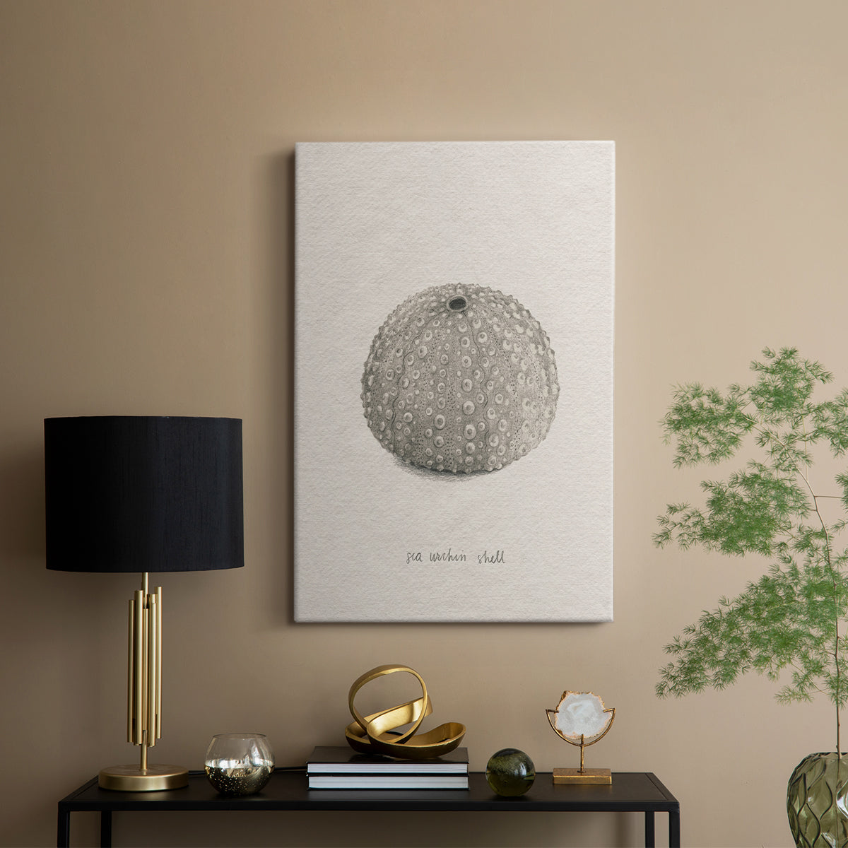 Shore Treasure Study I - Canvas Art Print