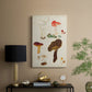 Mushroom Species XI - Canvas Art Print