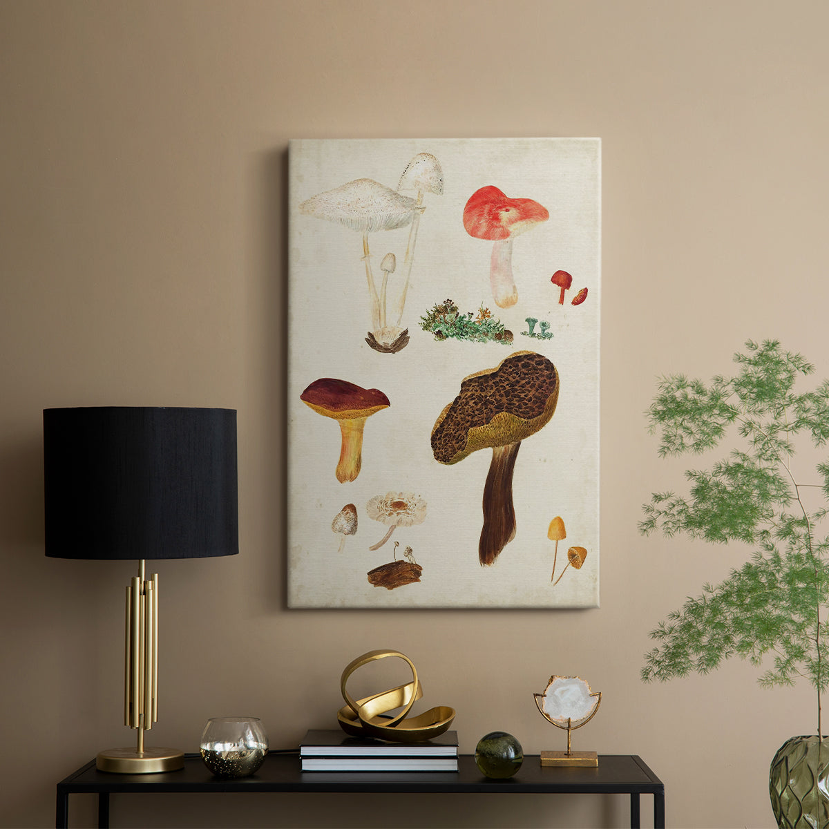 Mushroom Species XI - Canvas Art Print