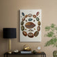 Spiral Shell Formation II - Canvas Art Print