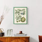 Buchoz Tropicals VIII - Restickable Framed Art Print