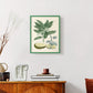 Buchoz Tropicals IV - Restickable Framed Art Print