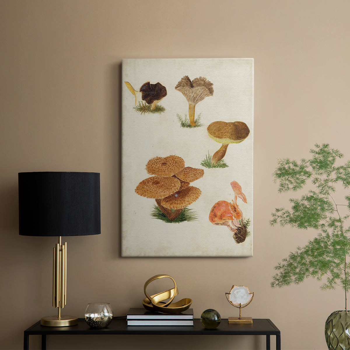 Mushroom Species V - Canvas Art Print