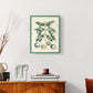 Buchoz Tropicals VII - Restickable Framed Art Print