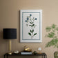 Shabby Chic Botanical II - Canvas Art Print