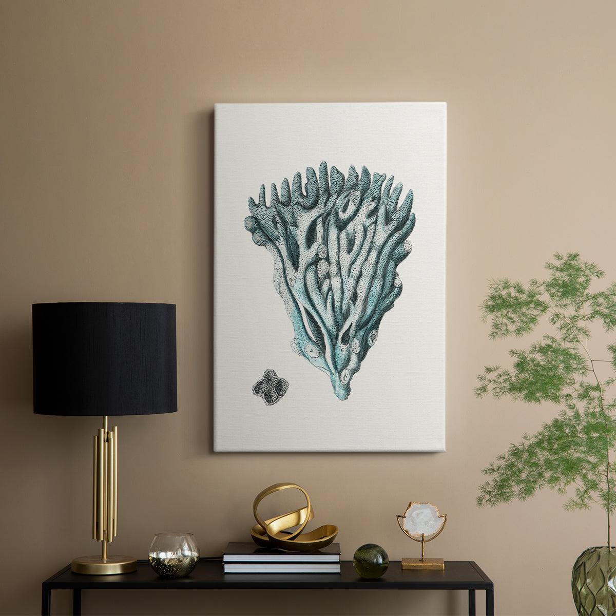Antique Coastal Coral X - Canvas Art Print