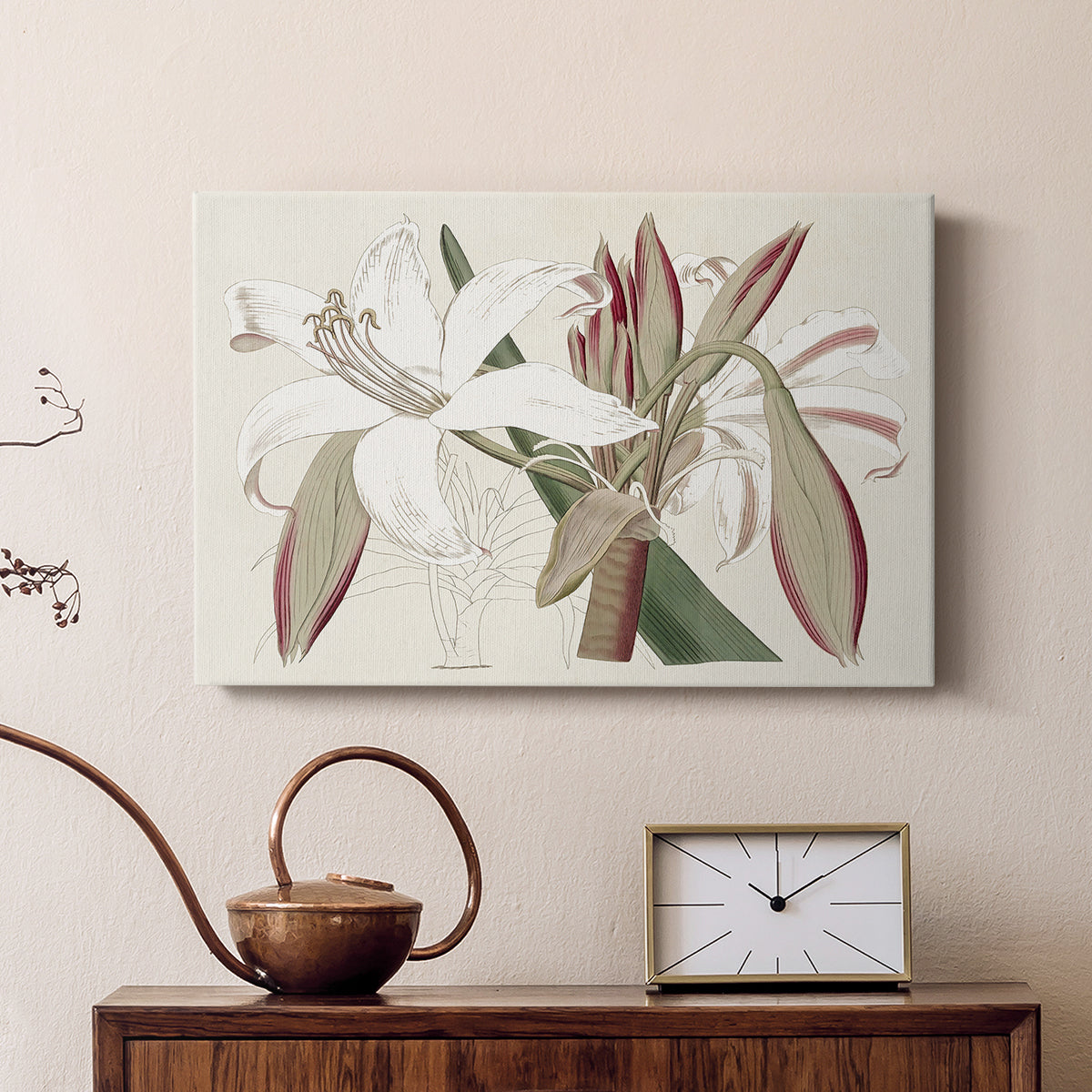 Amaryllis Varietals II - Canvas Art Print