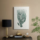 Antique Coastal Coral VIII - Canvas Art Print