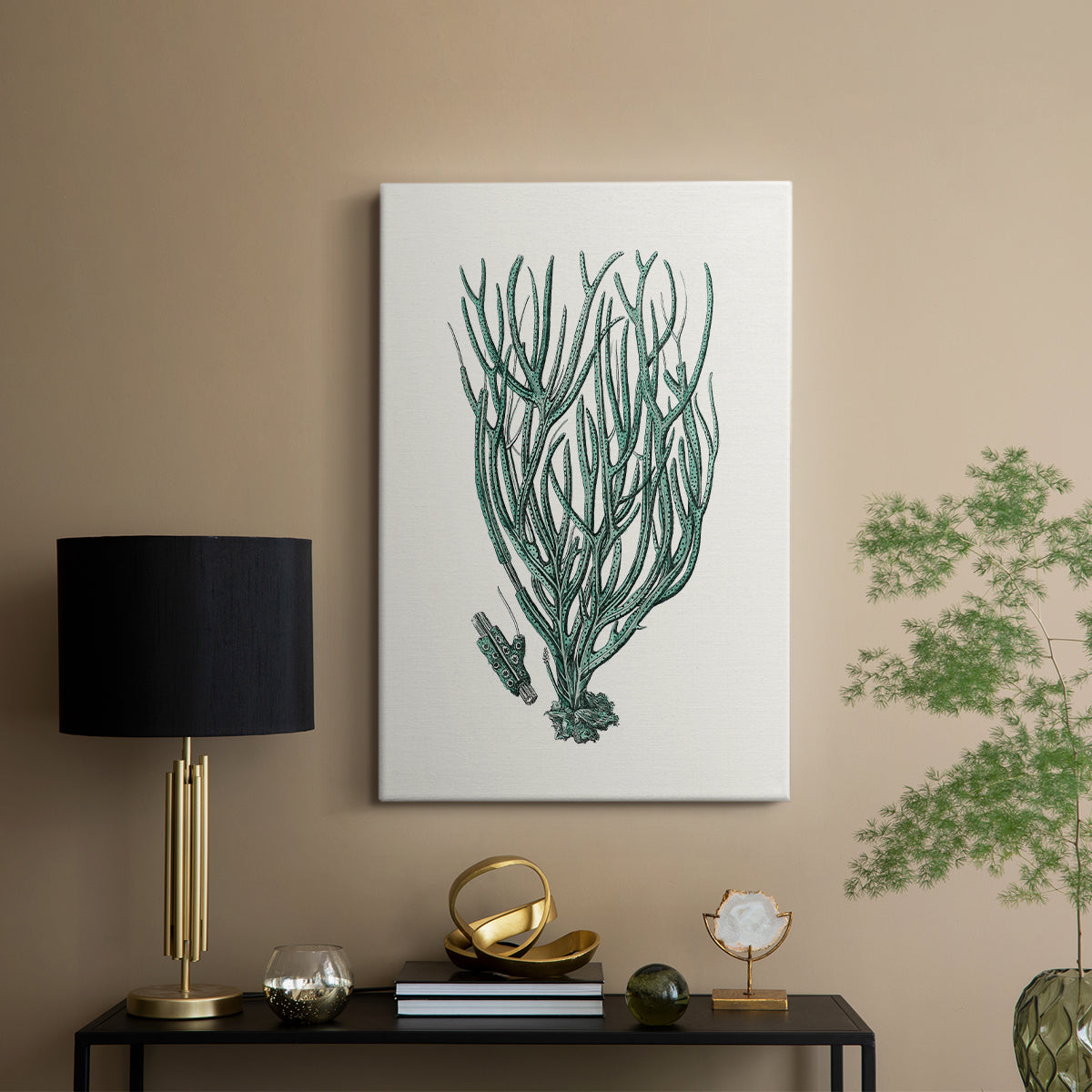 Antique Coastal Coral VIII - Canvas Art Print