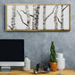Birch Trees II - Floater Framed Canvas Print