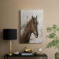 Free Spirit - Canvas Art Print
