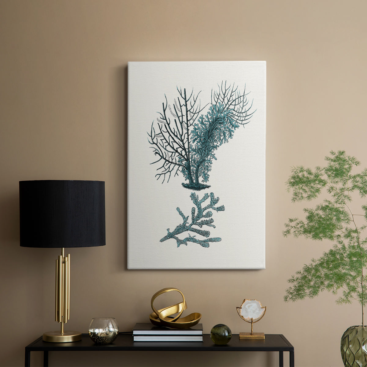 Antique Coastal Coral VI - Canvas Art Print